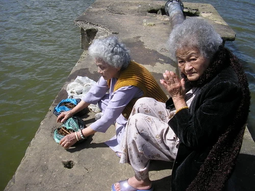 Các cụ bà thả cá, lươn xuống hồ...