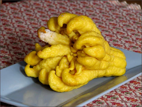 Phật thủ - món quà cho sức khỏe ảnh 1