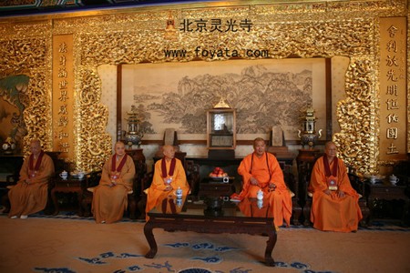 chutonduc linhquang dontiep5.jpg