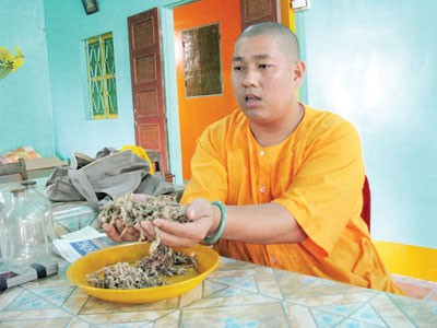Những Tuệ Tĩnh thời nay: Tìm sự sống trên đỉnh núi ảnh 1 Những Tuệ Tĩnh thời nay: Tìm sự sống trên đỉnh núi ảnh 1
