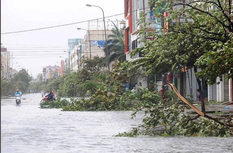 Một đường phố ở Đà Nẵng tan tác sau bão (Ảnh: AFP)