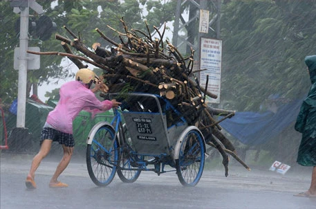 Một người dùng xích lô thu gom cành cây đổ trên đường phố Đà Nẵng.