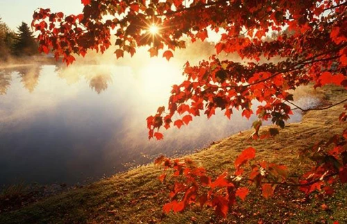 Vòng quanh thế giới vào mùa thu ảnh 9