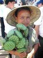 Em bé bán đài sen trên phà sông Mê Kông Em bé bán đài sen trên phà sông Mê Kông