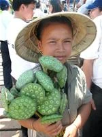 Em bé bán đài sen trên phà sông Mê Kông