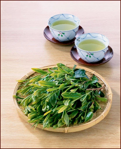 Bát nước chè xanh và Mark Brownsteins ảnh 2