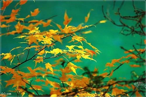 Một góc hồ ngũ sắc Mộng mị những sắc màu hồ nước ở Cửu Trại Câu Thác Panda Màu sắc như thế này có thể gặp bất kỳ chỗ nào ở Cửu Trại Câu mùa thu Cảnh sắc Cửu Trại Câu qua lớp cửa kính máy bay với những sắc màu nhiều màu rực rỡ: xanh, đỏ, tím, vàng Những đỉnh núi tuyết vĩnh cửu trên đường bay từ Thành Đô tới Cửu Trại Câu Đường từ sân bay về Cửu Trại Câu