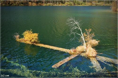 Một góc hồ ngũ sắc Mộng mị những sắc màu hồ nước ở Cửu Trại Câu Thác Panda Màu sắc như thế này có thể gặp bất kỳ chỗ nào ở Cửu Trại Câu mùa thu Cảnh sắc Cửu Trại Câu qua lớp cửa kính máy bay với những sắc màu nhiều màu rực rỡ: xanh, đỏ, tím, vàng Những đỉnh núi tuyết vĩnh cửu trên đường bay từ Thành Đô tới Cửu Trại Câu Đường từ sân bay về Cửu Trại Câu