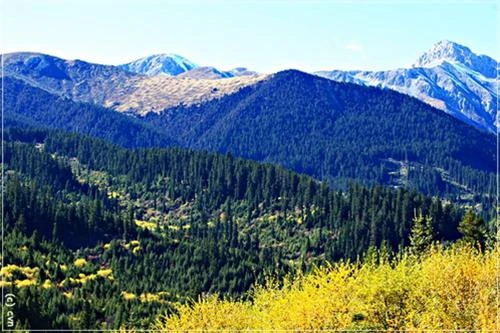 Một góc hồ ngũ sắc Mộng mị những sắc màu hồ nước ở Cửu Trại Câu Thác Panda Màu sắc như thế này có thể gặp bất kỳ chỗ nào ở Cửu Trại Câu mùa thu Cảnh sắc Cửu Trại Câu qua lớp cửa kính máy bay với những sắc màu nhiều màu rực rỡ: xanh, đỏ, tím, vàng Những đỉnh núi tuyết vĩnh cửu trên đường bay từ Thành Đô tới Cửu Trại Câu Đường từ sân bay về Cửu Trại Câu