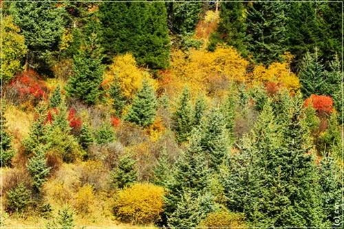 Một góc hồ ngũ sắc Mộng mị những sắc màu hồ nước ở Cửu Trại Câu Thác Panda Màu sắc như thế này có thể gặp bất kỳ chỗ nào ở Cửu Trại Câu mùa thu Cảnh sắc Cửu Trại Câu qua lớp cửa kính máy bay với những sắc màu nhiều màu rực rỡ: xanh, đỏ, tím, vàng Những đỉnh núi tuyết vĩnh cửu trên đường bay từ Thành Đô tới Cửu Trại Câu Đường từ sân bay về Cửu Trại Câu