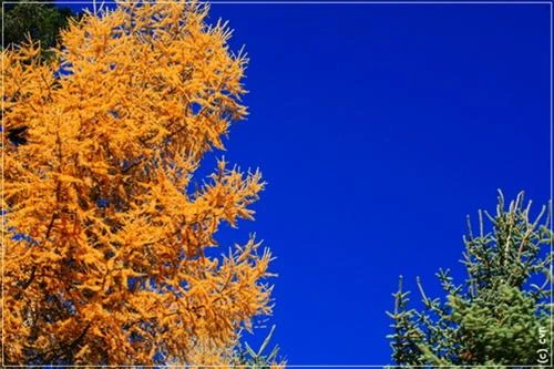 Một góc hồ ngũ sắc Mộng mị những sắc màu hồ nước ở Cửu Trại Câu Thác Panda Màu sắc như thế này có thể gặp bất kỳ chỗ nào ở Cửu Trại Câu mùa thu Cảnh sắc Cửu Trại Câu qua lớp cửa kính máy bay với những sắc màu nhiều màu rực rỡ: xanh, đỏ, tím, vàng Những đỉnh núi tuyết vĩnh cửu trên đường bay từ Thành Đô tới Cửu Trại Câu Đường từ sân bay về Cửu Trại Câu