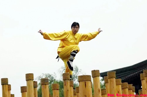 Kỳ nhân Kungfu Trung Hoa: Đệ nhất Mai hoa thung ảnh 1 La Khôn biểu diễn trên Mai hoa thung.