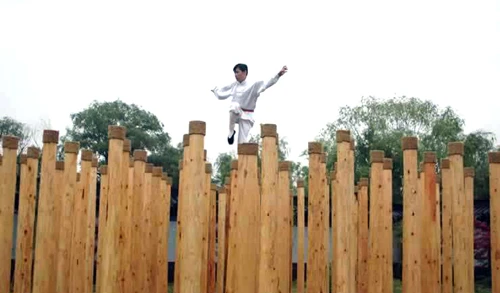 Kỳ nhân Kungfu Trung Hoa: Đệ nhất Mai hoa thung ảnh 3