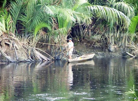 Đổ xô đi bắt cá phóng sinh ảnh 6