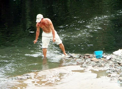 Đổ xô đi bắt cá phóng sinh ảnh 2