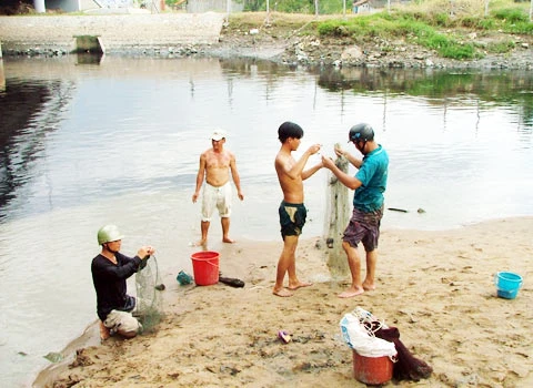 Đổ xô đi bắt cá phóng sinh ảnh 5