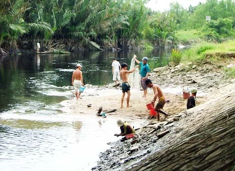 Đổ xô đi bắt cá phóng sinh ảnh 3