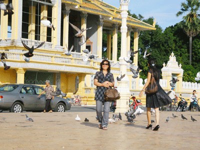 Chúng xà xuống ngay chân khách du lịch, mổ những hạt ngô vương vãi. Chúng xà xuống ngay chân khách du lịch, mổ những hạt ngô vương vãi.