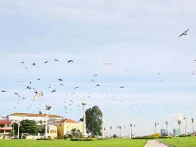 Và hàng nghìn cánh chim bồ câu chao nghiêng trên nền trời xanh thẳm.