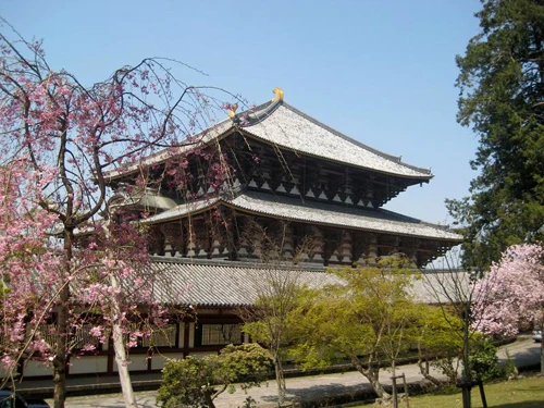 Núi Phú Sỹ vào mùa hoa anh đào. Hoa anh đào soi bóng bên hoàng cung Nhật Bản. Cố đô Nara dưới bóng hoa anh đào. Cảnh ở Heijo. Những ngôi nhà cổ ở Kyoto. Những hàng hoa anh đào ở Osaka. Tại lâu đài hạc trắng. Hoa anh đào có ba màu đỏ, hồng, trắng.