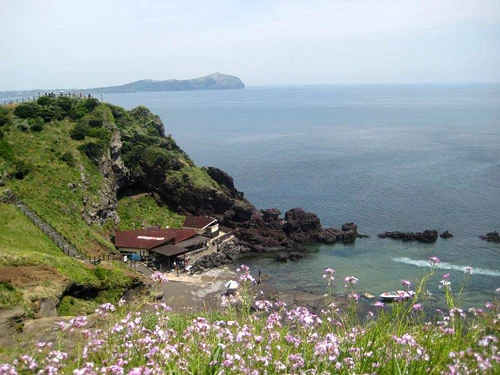 Đỉnh núi Seongsan, nơi đón ánh mặt trời đầu tiên của Hàn Quốc. Những tảng đá với nhiều hình thù khác nhau là hình ảnh quen thuộc của đảo. Tượng thần Dol Hareubang đặt khắp nơi trên đảo. Hoa nở khắp đảo khi mùa xuân về. Làng dân tộc Jeju nơi đây cũng là phim trường Dae Chang Kum. Một ngôi chùa trên đảo.