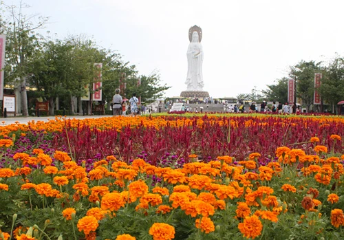 Tượng Phật nằm trong khu du lịch văn hóa Nam Sơn được khánh thành vào năm 1998. Vườn hoa trên đường dẫn ra chân tượng. Ngắm cận cảnh bức tượng nổi tiếng. Có rất nhiều góc độ để chiêm ngưỡng bức tượng cao 108m này. Bạn có thể tới tận sát bức tượng bằng cách đi xe điện trong công viên. Quảng trường Quán Âm với vườn hoa rực rỡ. Tượng nối liền bờ bởi cây cầu Phổ Tế. Tới thăm đảo Hải Nam, rất ít du khách bỏ qua cơ hội chụp hình chung với tượng.