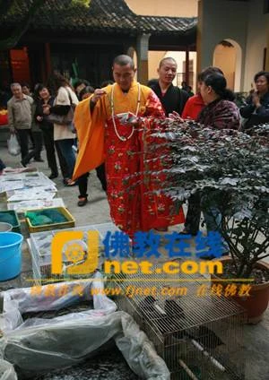 Trung Quốc: Cả nước kỷ niệm Lễ Xuất gia của Bồ tát Quan Thế Âm ảnh 24 quangam 24.jpg