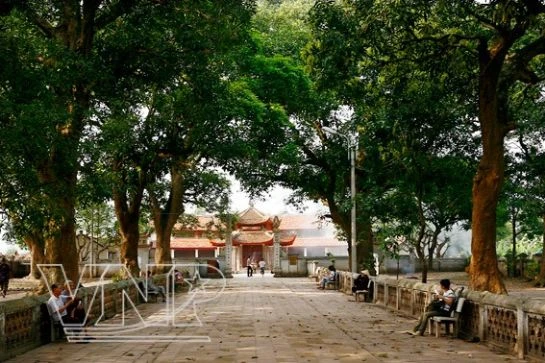 Chùa Láng ảnh 1 Chùa Láng ảnh 1