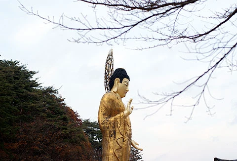 Tượng Phật vàng đứng uy nghiêm trong chiều thu tĩnh mịch.