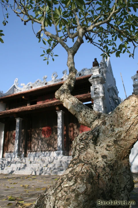 Chùa Bà Đanh ở xã Ngọc Sơn, huyện Kim Bảng, cách thị xã Phủ Lý 10 km về phía hữu ngạn sông Ðáy. Chùa xứng danh là ngôi chùa “vắng khách đệ nhất”. Tiếng gió thổi, tiếng lá rơi nhẹ khiến ngôi chùa tĩnh mịch đến lạ thường. Lá rụng nhiều đến nỗi phủ kín mặt sân chùa và người dân tiết kiệm bằng cách… đem về nhóm bếp. Chỉ những ngày Đại lễ, cửa chính chùa mới mở, không gian đã yên ắng nay càng… lạnh lẽo hơn. Con đường dẫn vào chùa vắng bóng con người.