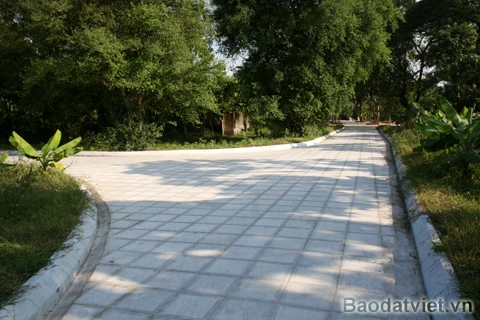 Chùa Bà Đanh ở xã Ngọc Sơn, huyện Kim Bảng, cách thị xã Phủ Lý 10 km về phía hữu ngạn sông Ðáy. Chùa xứng danh là ngôi chùa “vắng khách đệ nhất”. Tiếng gió thổi, tiếng lá rơi nhẹ khiến ngôi chùa tĩnh mịch đến lạ thường. Lá rụng nhiều đến nỗi phủ kín mặt sân chùa và người dân tiết kiệm bằng cách… đem về nhóm bếp. Chỉ những ngày Đại lễ, cửa chính chùa mới mở, không gian đã yên ắng nay càng… lạnh lẽo hơn. Con đường dẫn vào chùa vắng bóng con người.