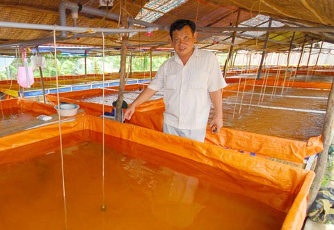 Anh Tống Minh Chánh bên bể ươm cá ba sa giống.