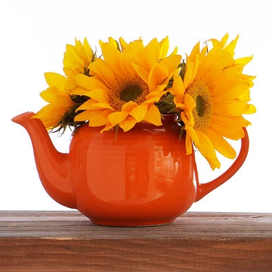 Những kiểu cắm hoa không cần lọ ảnh 3