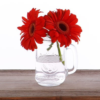 Những kiểu cắm hoa không cần lọ ảnh 2