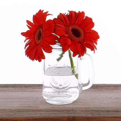 Những kiểu cắm hoa không cần lọ ảnh 2