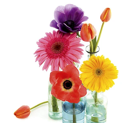 Những kiểu cắm hoa không cần lọ ảnh 9