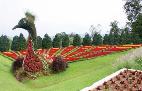 Vườn hoa quốc gia tọa lạc ngay trên đường từ Jakarta đến Bandung