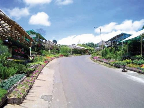 Đường vào làng hoa Cihideung