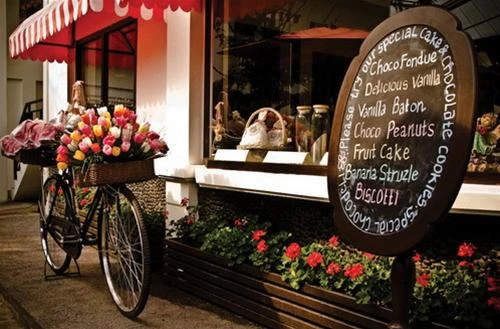 Hoa núi khoe sắc phía trước một tiệm bánh ngọt ở Bandung