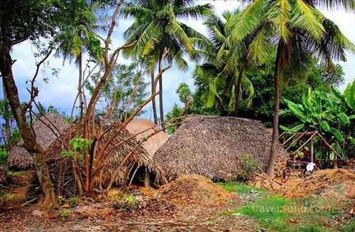 Yên bình vùng quê Ấn Độ ảnh 10