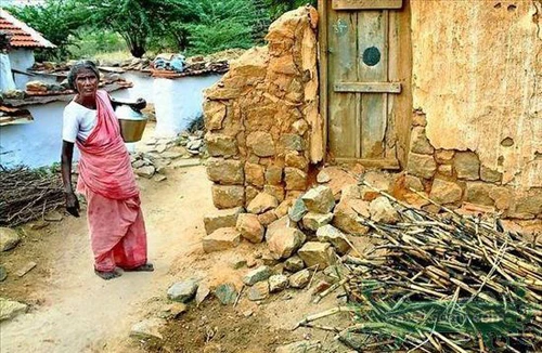 Yên bình vùng quê Ấn Độ ảnh 11