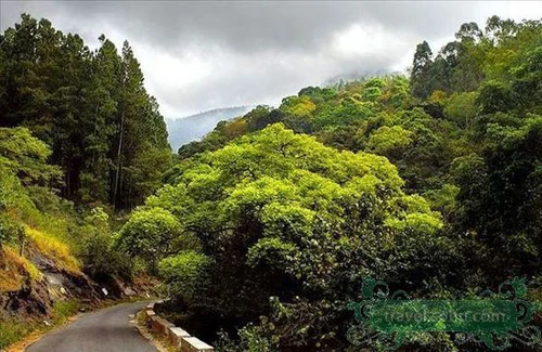 Yên bình vùng quê Ấn Độ ảnh 15