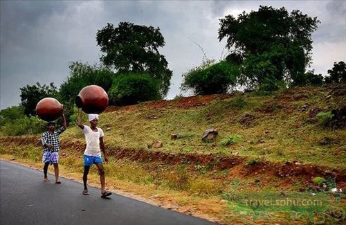 Yên bình vùng quê Ấn Độ ảnh 8