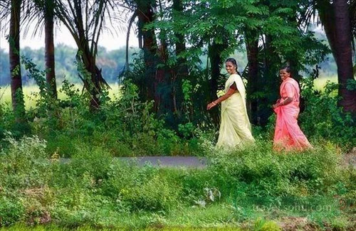 Yên bình vùng quê Ấn Độ ảnh 7