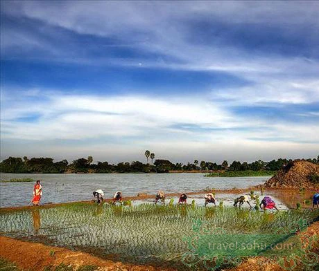 Yên bình vùng quê Ấn Độ ảnh 1