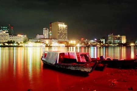 Sài Gòn khi chiều xuống ảnh 8