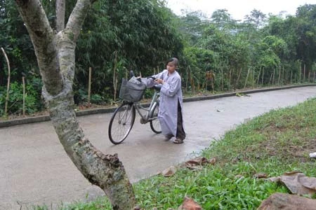 Tĩnh lặng chùa Thiên Mụ ảnh 1