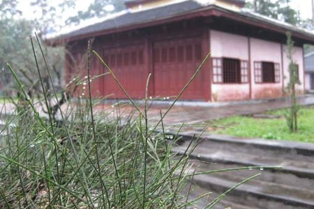 Tĩnh lặng chùa Thiên Mụ ảnh 7