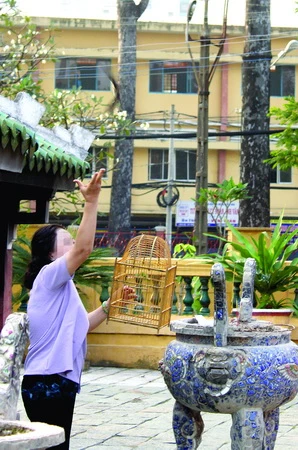 Phóng sinh như thế, bằng mười sát sinh ảnh 7