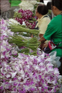 _flowermarket01.jpg